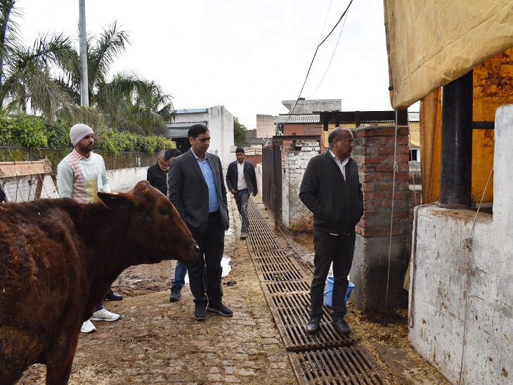 गौशाला का निरीक्षण करते निगम आयुक्त की फाइल फोटो।