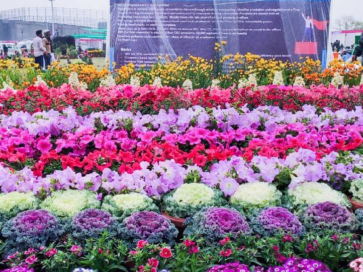 The flower show will fill the city's climate with fragrance 3500