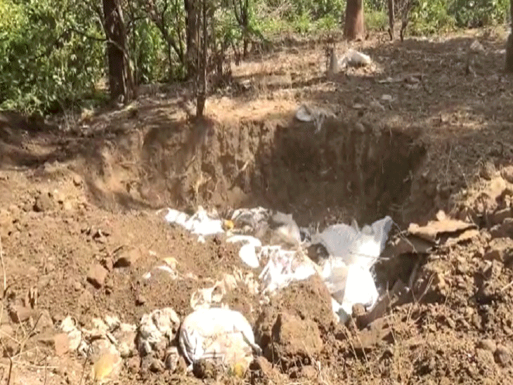 बालोद जिले में पिछले साल भी बर्ड फ्लू से अजीबोगरीब मौत हुई थी।  - दैनिक भास्कर