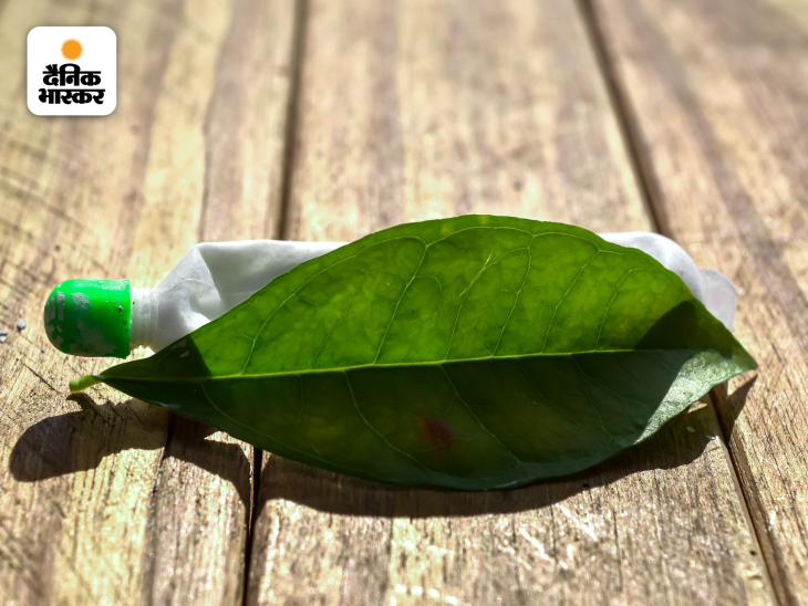 How lime is beneficial for health दही संग चूना खाना दिमाग के लिए