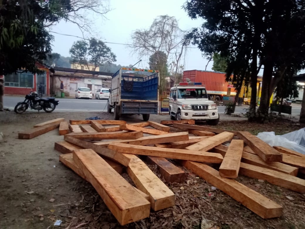 पावंटा साहिब में नाके पर पकड़े गए देवदार के स्लीपर। - Dainik Bhaskar