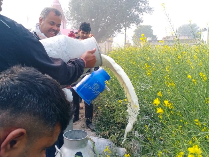 21 जनवरी को बहरोड़ में मगनी सिंह की ढाणी में मिलावट दूध को फेंकती सरस डेयरी की टीम।