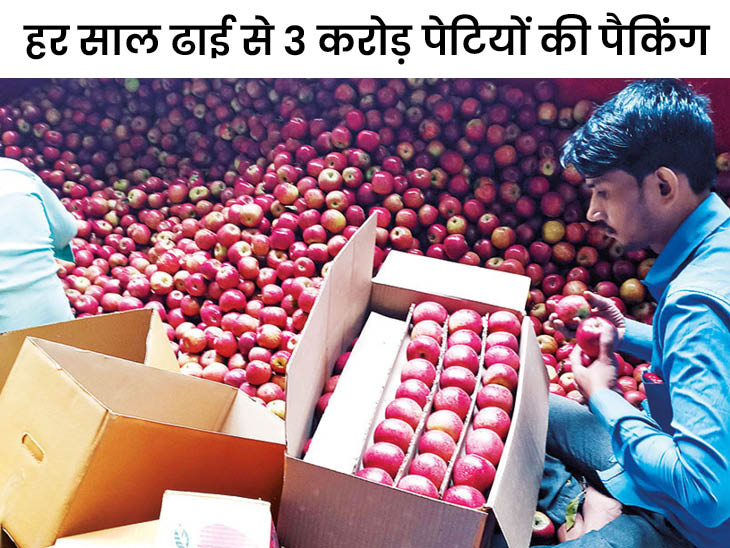 Himachal Industry Minister Harshvardhan Chauhan GST Council Delhi Apple Carton Box सेब