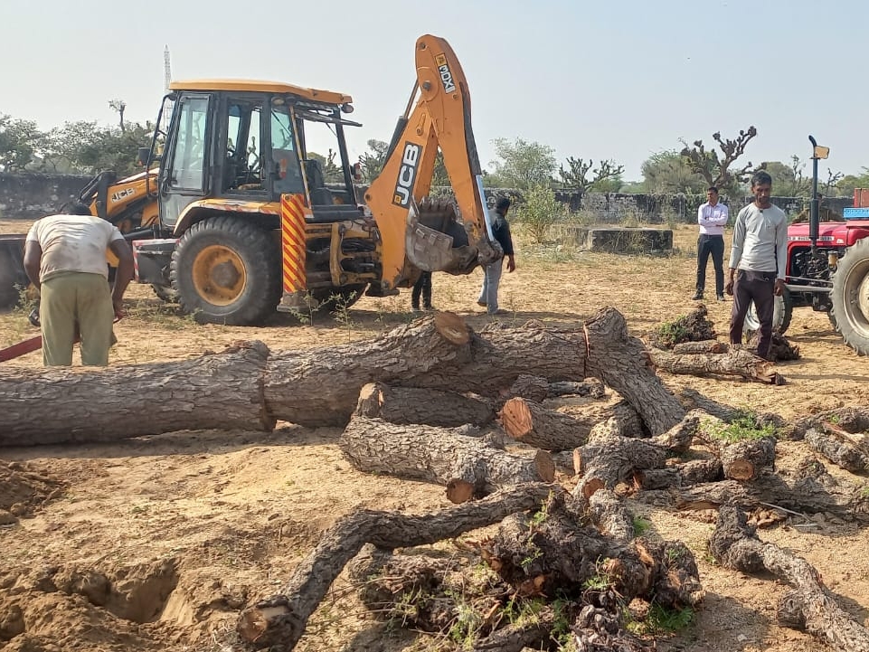 Tractor Wala Chotu Dada Dadi Wala Chhotu Dada Jcb Wala Chotu Dada