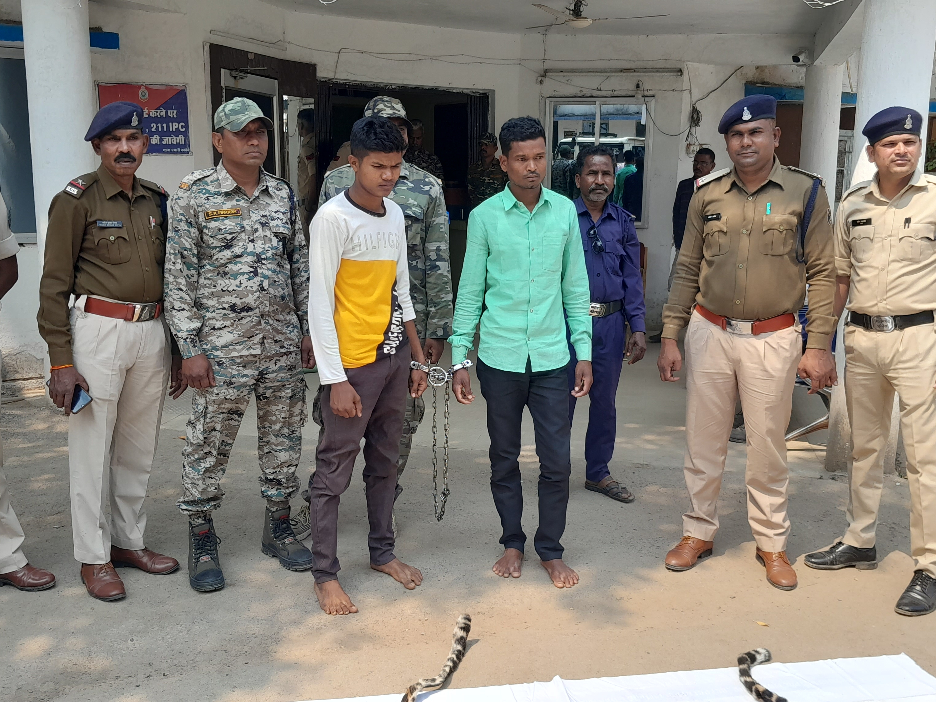 दो आरोपी तेंदुए की खाल के साथ गिरफ्तार, दो अन्य फरार।