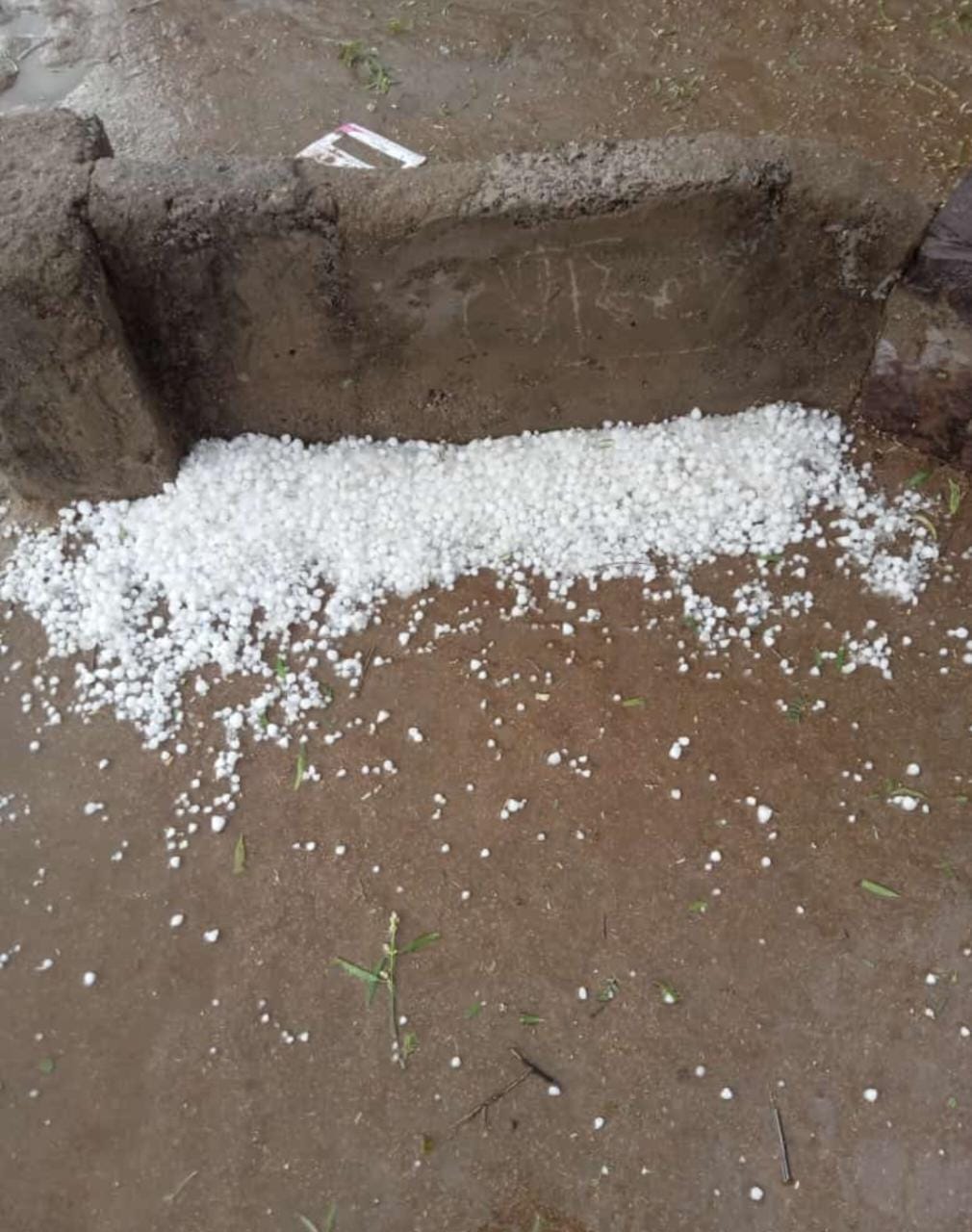 प्रदेश में शनिवार को नागौर, बाड़मेर में बारिश के साथ ओले गिरे।