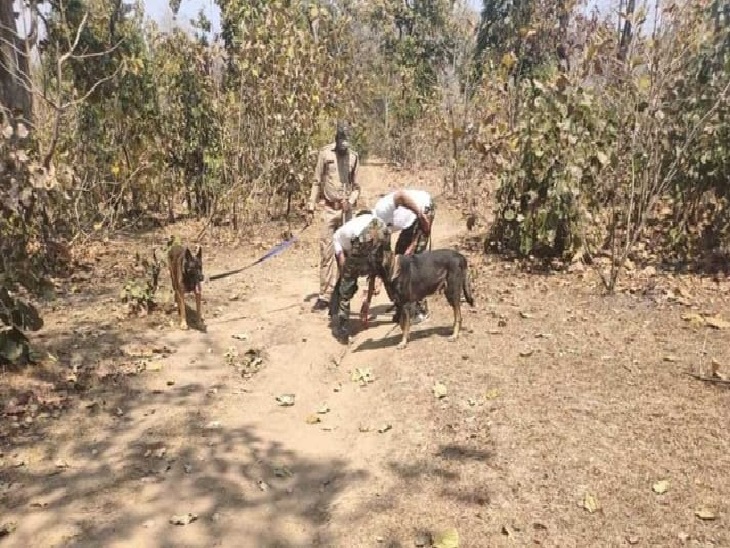 अब डॉग स्क्वॉयड की मदद से शिकारियों की तलाश।