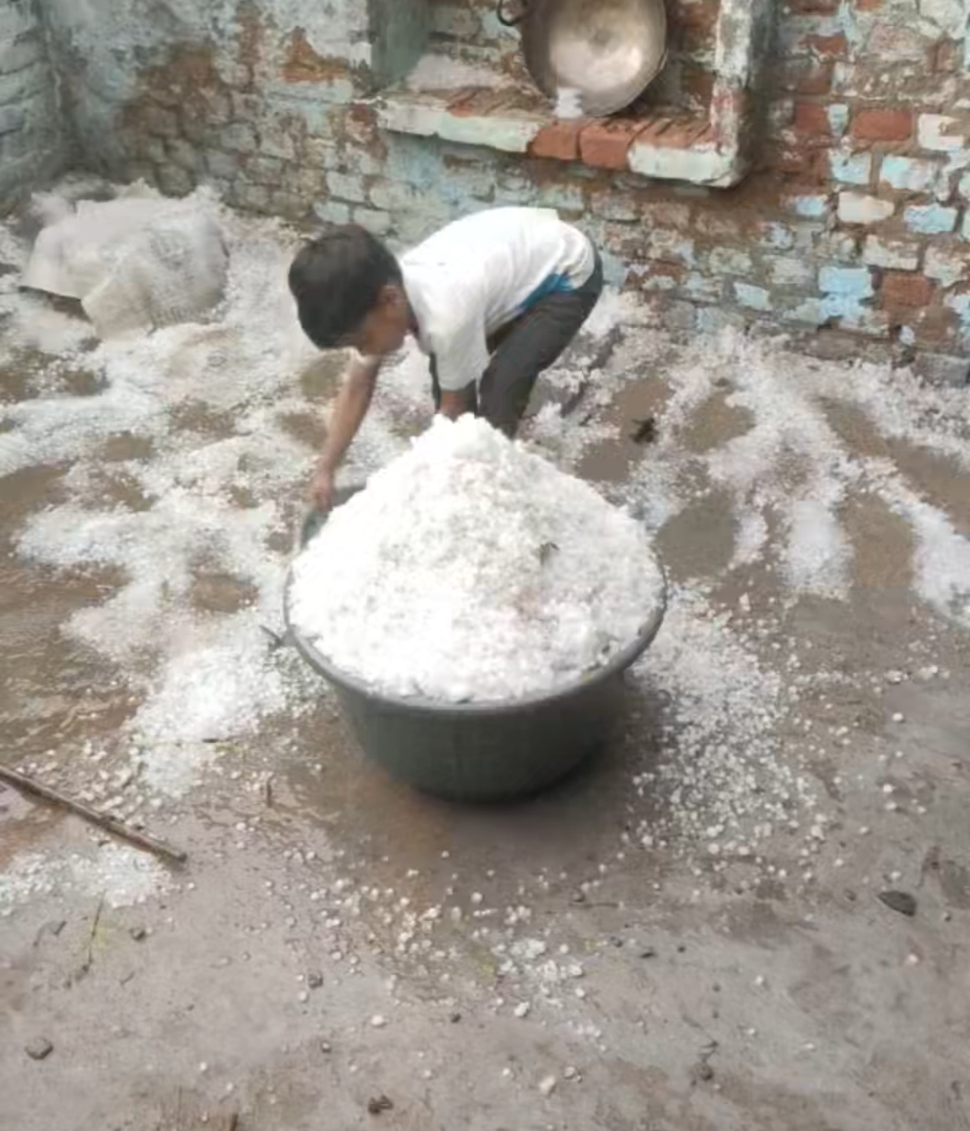 राजस्थान के दस जिलों में बारिश-ओलावृष्टि हुई है। इससे किसानों को खासा नुकसान पहुंचा है।