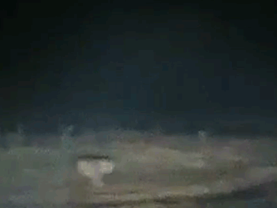 सोशल मीडिया में वायरल हो रहा है वीडियो, पिछले कुछ महीनों से कई बार देखा गया है बाघ। - Dainik Bhaskar