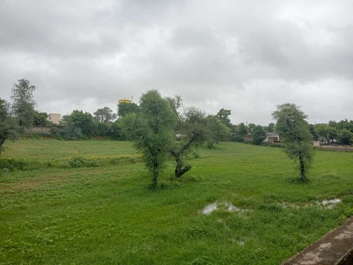 सीकर में शुक्रवार सुबह भी बारिश का दौर जारी रहा। आसमान में बादल छाए रहे।