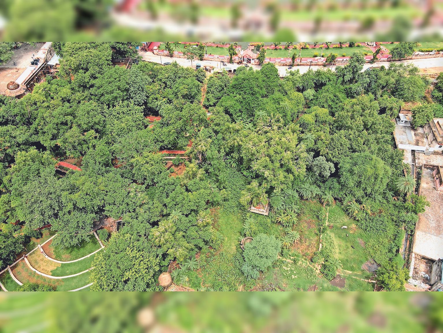 Rajasthan's unique herbal garden in Jhalrapatan... Here are more than