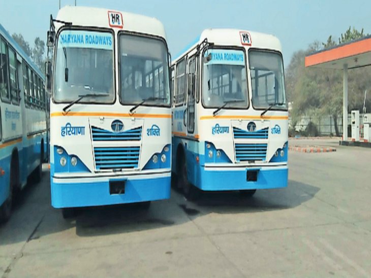 43 new buses included in roadways fleet, 20 buses standing in