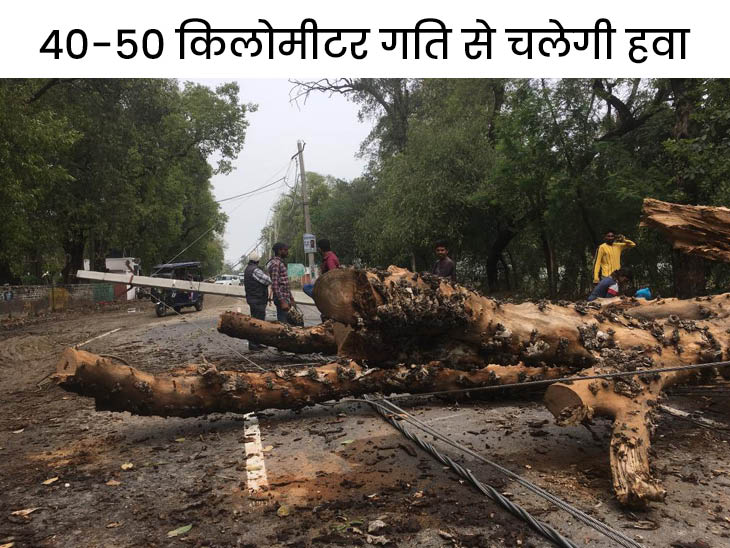 Faridkot news Weather, Rain, Weather Department, Orange Alert Punjab