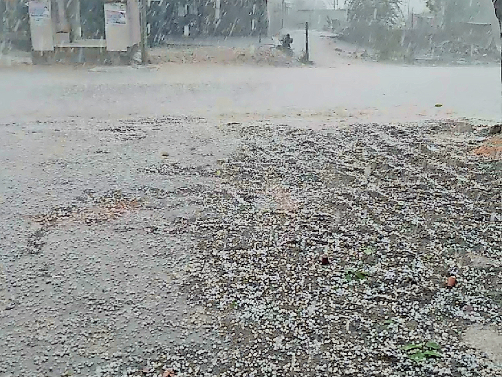 Hail and rain fell for half an hour in 12 villages of Bhusavar and for ...