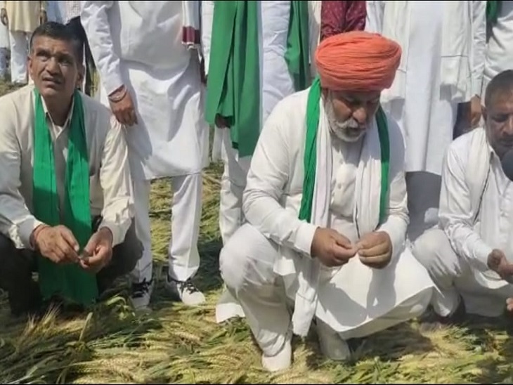 Rakesh Tikait Karnal Update; Kisan Neta On Amritpal Singh And Rahul