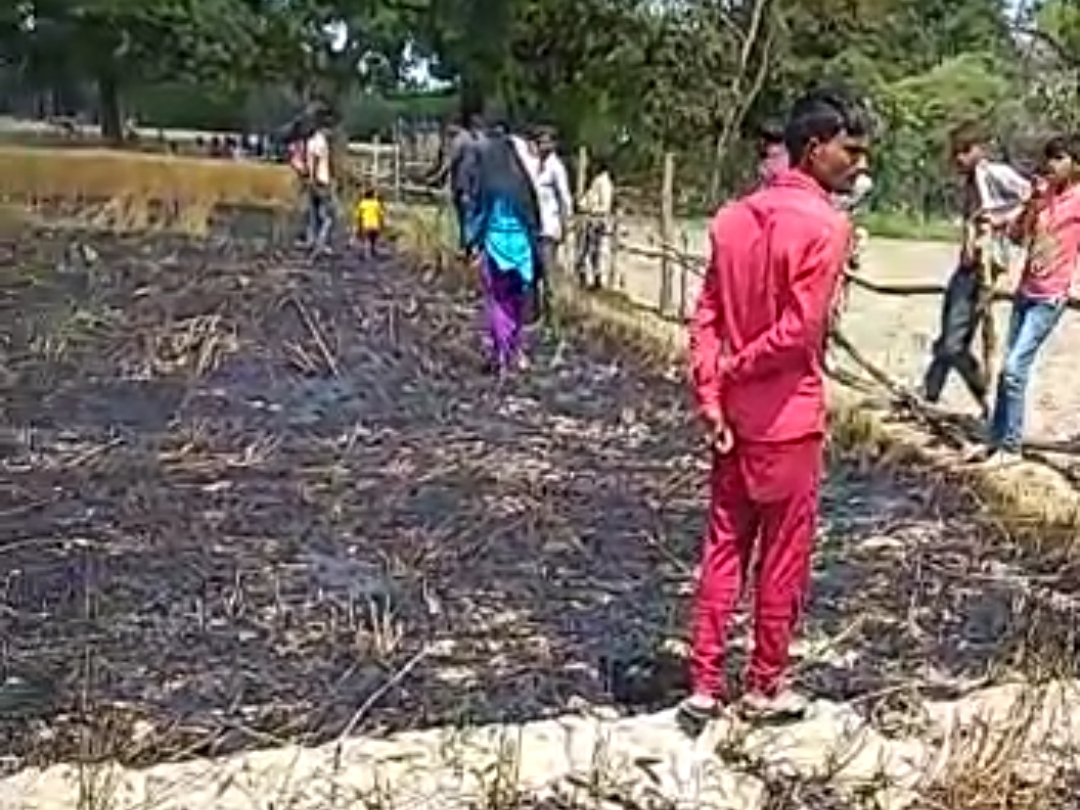 ग्रामीणों ने बिजली विभाग पर लापरवाही का लगाया आरोप, खेत में तार टूट कर  गिरने से लगी थी आग | Villagers accused the electricity department of  negligence, - Dainik Bhaskar