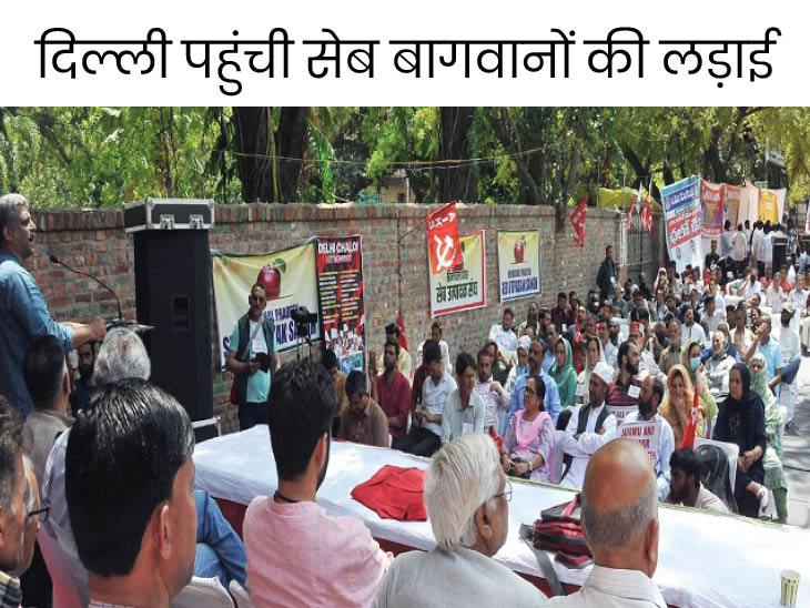 Apple growers protest in Delhi Jammu Kashmir and Himachal apple
