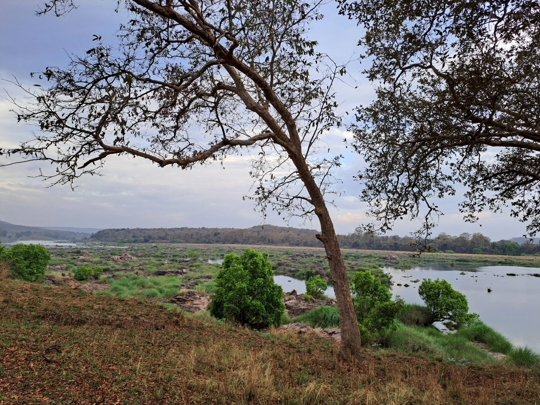 Forecast of sunshine from tomorrow, forecast of stable temperature till ...