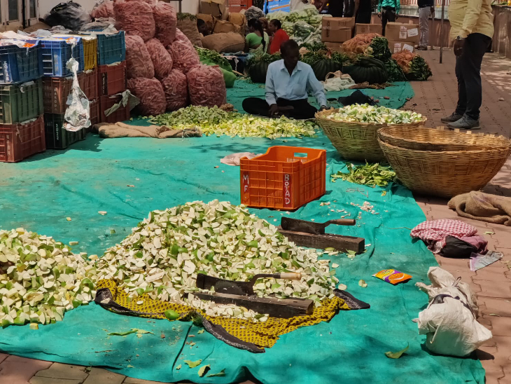 मंदिर में लौंजी बनाने के लिए चल रहा कैरी काटने का काम।