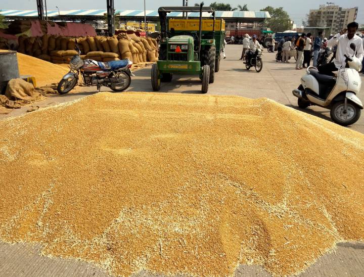 लक्ष्मीबाई नगर कृषि उपज मंडी।