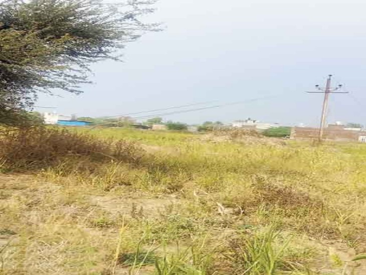 33 KV line closed for years on Rolaheda road in Chanderiya stuck ...