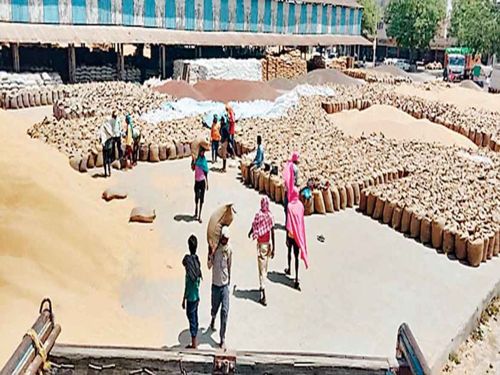 No lifting of 18.99 lakh quintals of wheat in the market, there was