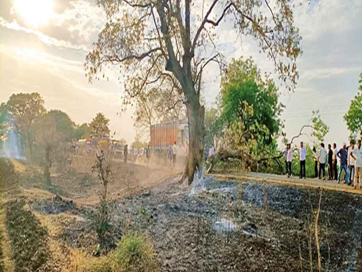 People hollowing out and burning trees in the name of stubble, no