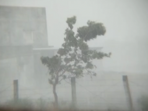 Heavy rain likely in Saurashtra and South Gujarat for next three days |  गुजरात में फिर बेमौसम बारिश: आगामी तीन दिनों तक सौराष्ट्र और दक्षिण गुजरात  में तेज बारिश की संभावना -