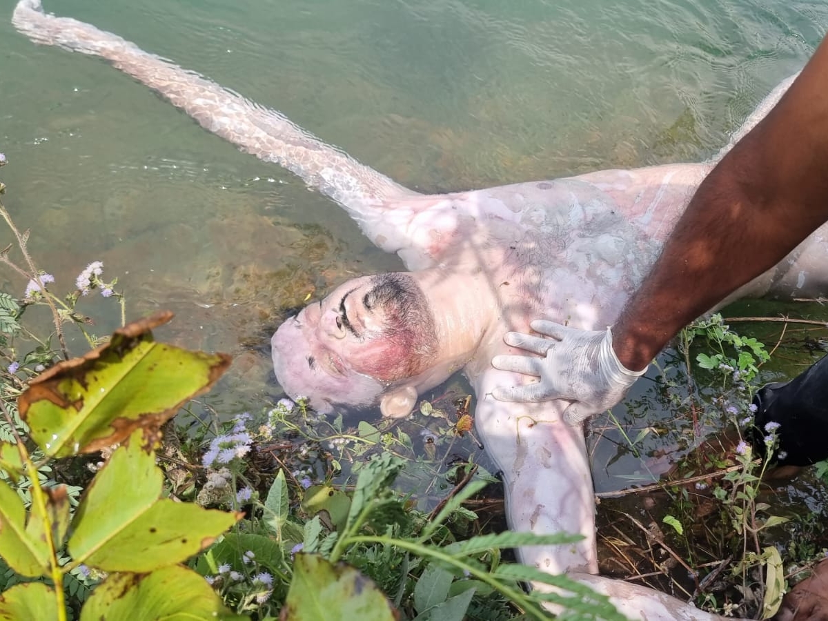 भाखड़ा नहर में तैरती दीपक की लाश।