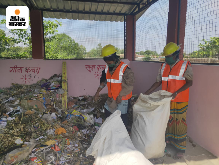 भोपाल में स्वच्छ सर्वेक्षण के लिए कचरा सेग्ररीगेशन का कार्य भी किया जा रहा है। - Dainik Bhaskar