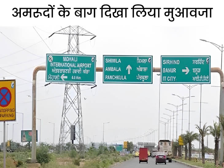 फाइल फोटो। - Dainik Bhaskar