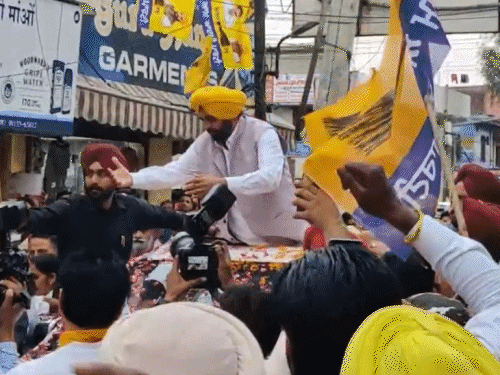 जालंधर में रोड शो निकालते सीएम भगवंत मान।