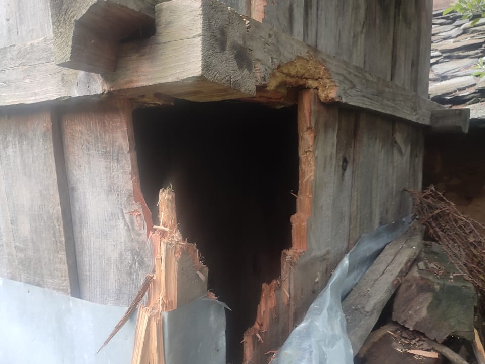 भालू द्वारा तोड़ा गया घर का दरवाजा।