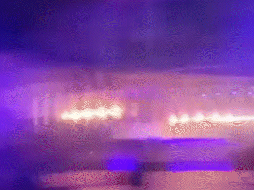 वीडियो में युवक बोतलों में भरी शराब को हवा में फेंकते हुए। - Dainik Bhaskar