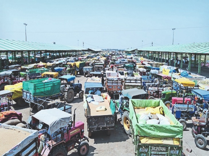 Farmers are also fixing the price themselves, 143 sold 41313 quintals