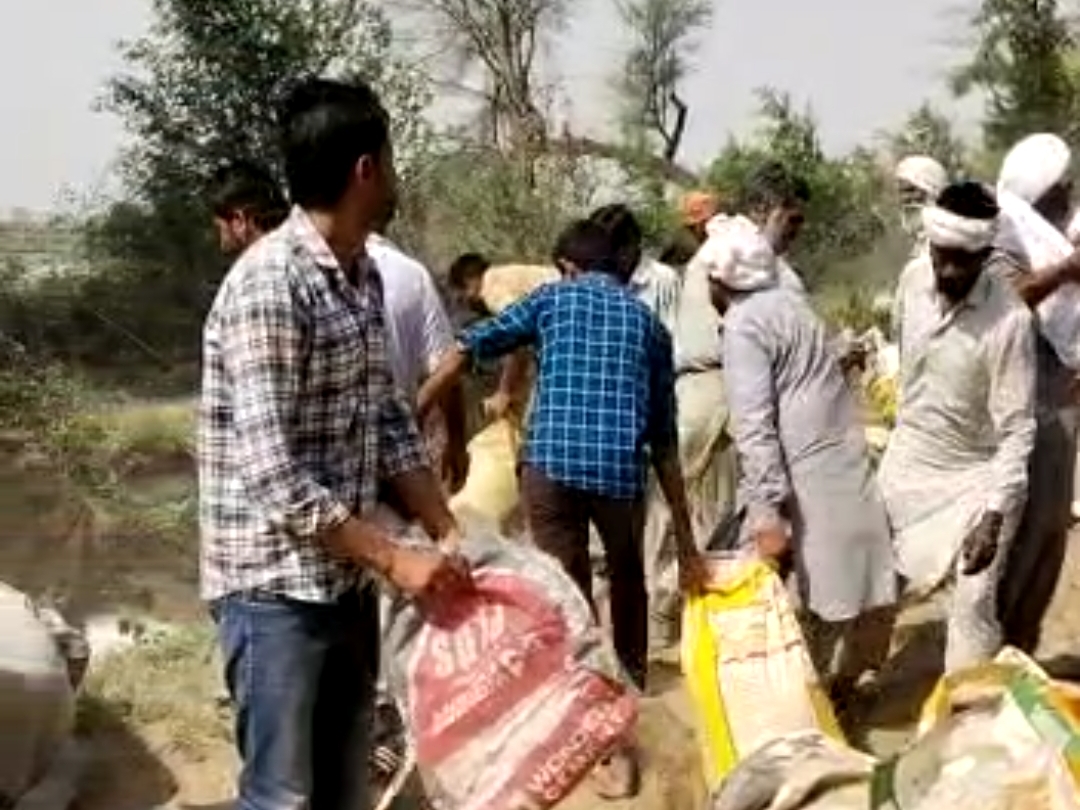 कटाव बांधने के लिए मिट्‌टी से भरकर कट्‌टे लाते किसान।