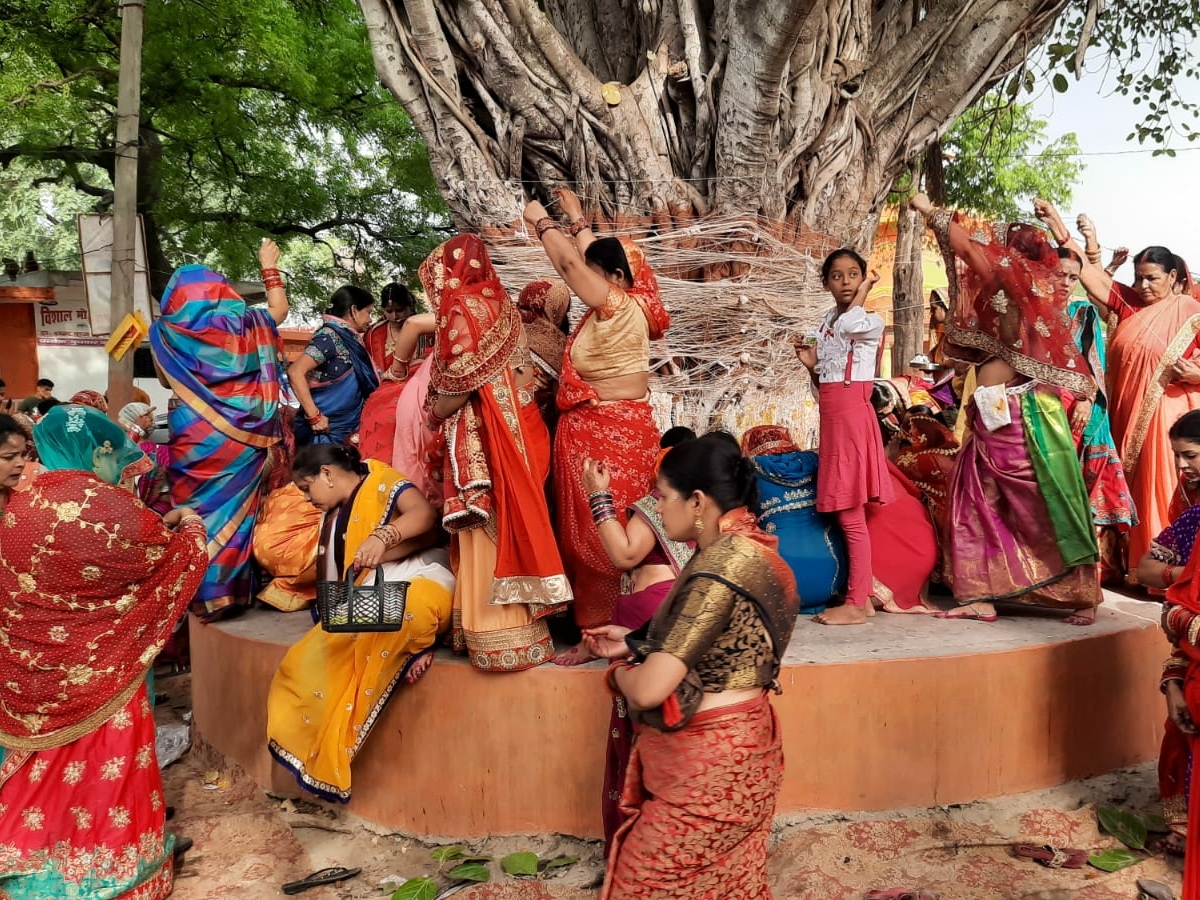 Suhagan women worshiped banyan tree on Vat Savitri festival | वट सावित्री  व्रत आज: सुहागिन महिलाओं ने वट वृक्ष की पूजा की, पति की लंबी आयु की कामना  की - datia News | Dainik Bhaskar
