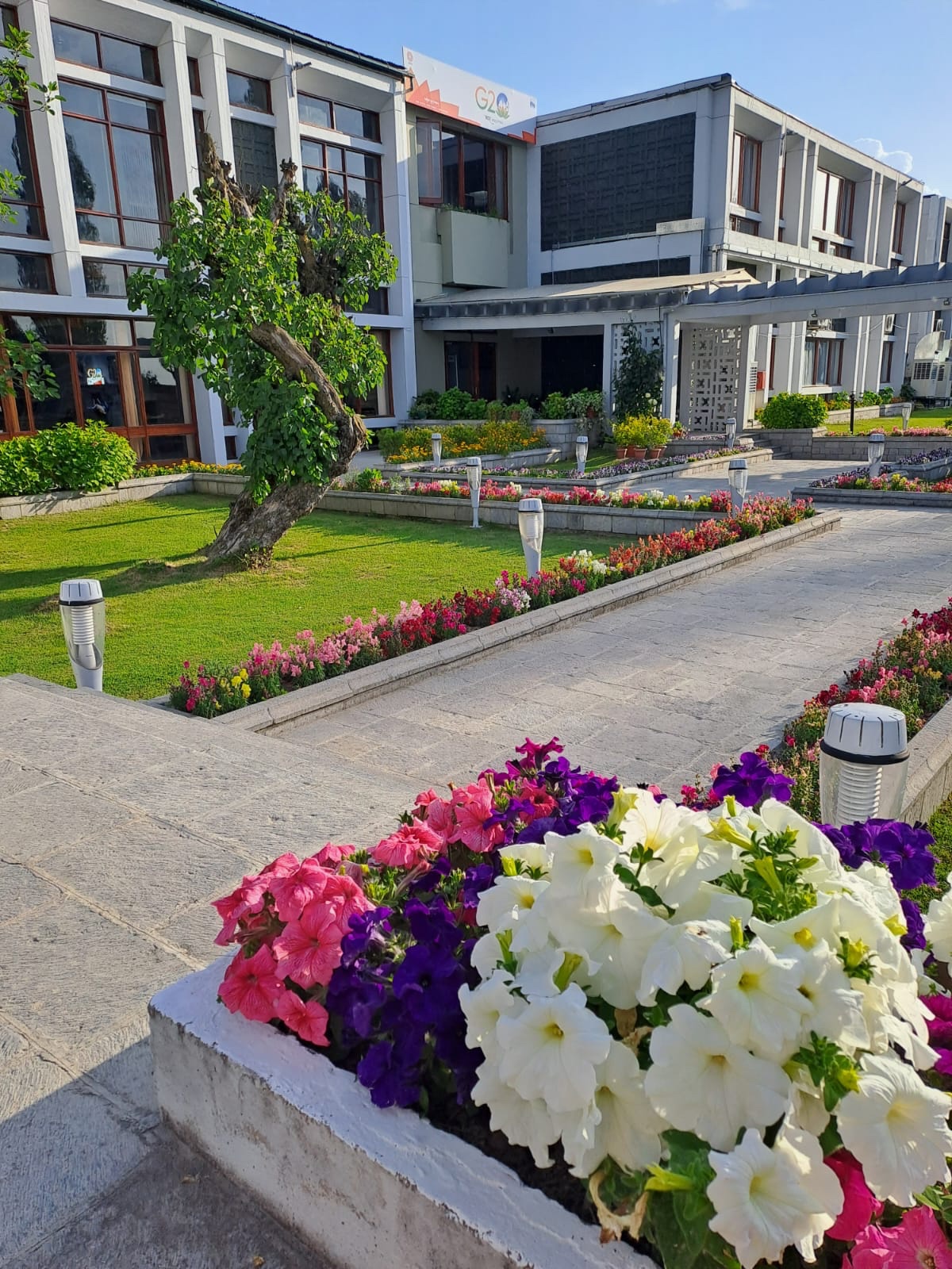 जी-20 इंडियन प्रेसिडेंसी के चीफ कोऑर्डिनेटर हर्षवर्धन श्रृंगला ने यह फोटो शेयर की है।