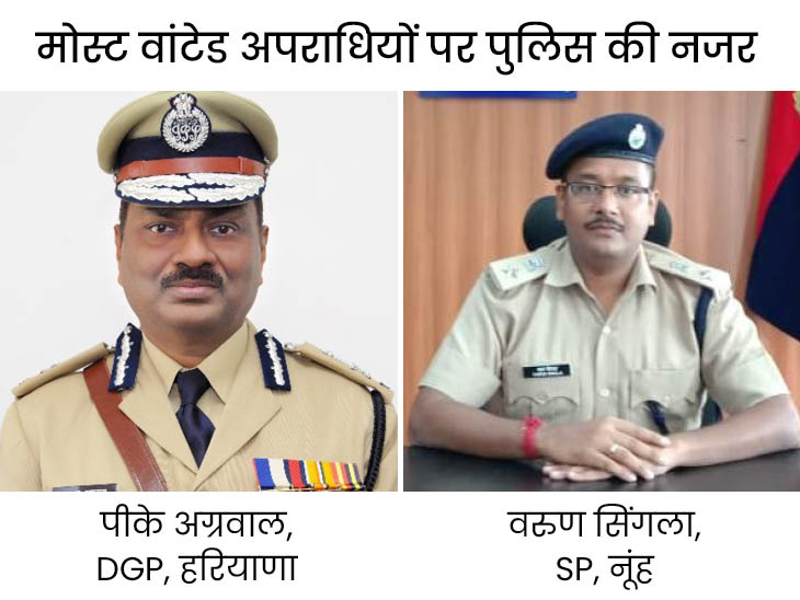 Haryana Police Most Wanted Gangster Search Nuh District Raid Update DGP ...