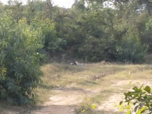 शहजादपुर में मिले हैंड ग्रेनेड को किया गया था डिफ्यूज।