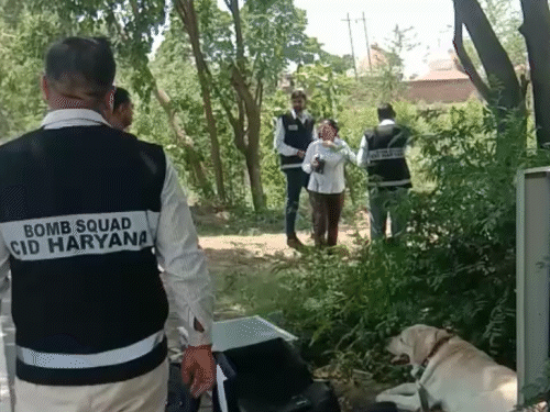 मधुबन से पहुंची थी बन निरोधक दस्ता की टीम।