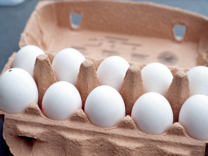 पोल्ट्री इंडस्ट्री इस समय मुश्किल भरे दौर से गुजर रही - Dainik Bhaskar