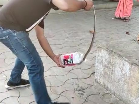 डिब्बे में नाग को बंद करते सर्प मित्र जितेंद्र सारथी।