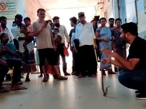 स्नेक कैचर जितेंद्र सारथी ने नाग को किया रेस्क्यू।