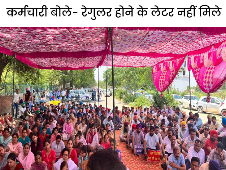punjab-education-non-teaching-staff-versus-bhagwant-mann-government