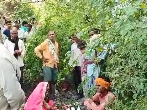 Dead body of newly married woman found hanging from tree under ...