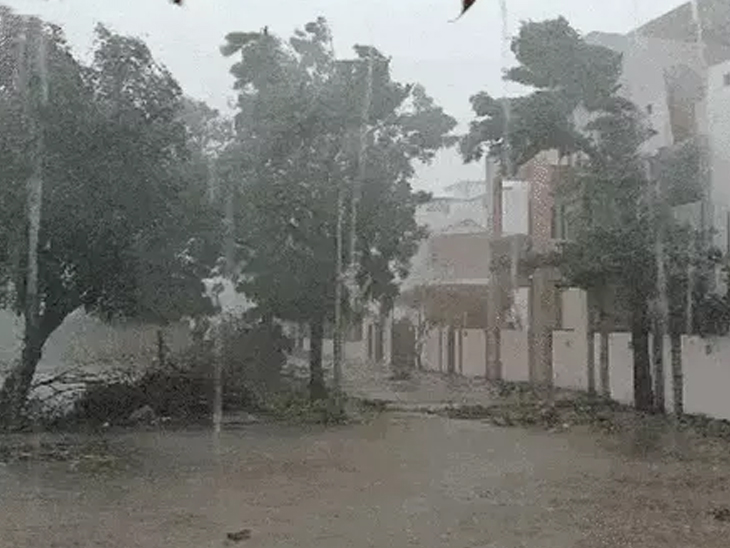 वाव तालुका के कई गांवों में मूसलाधार बारिश से बाढ़ जैसे हालात बन गए हैं।