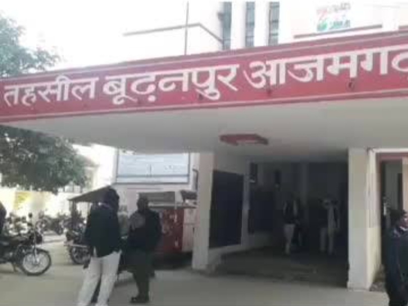 41 Abstain from judicial work by cutting green precious trees SDM की