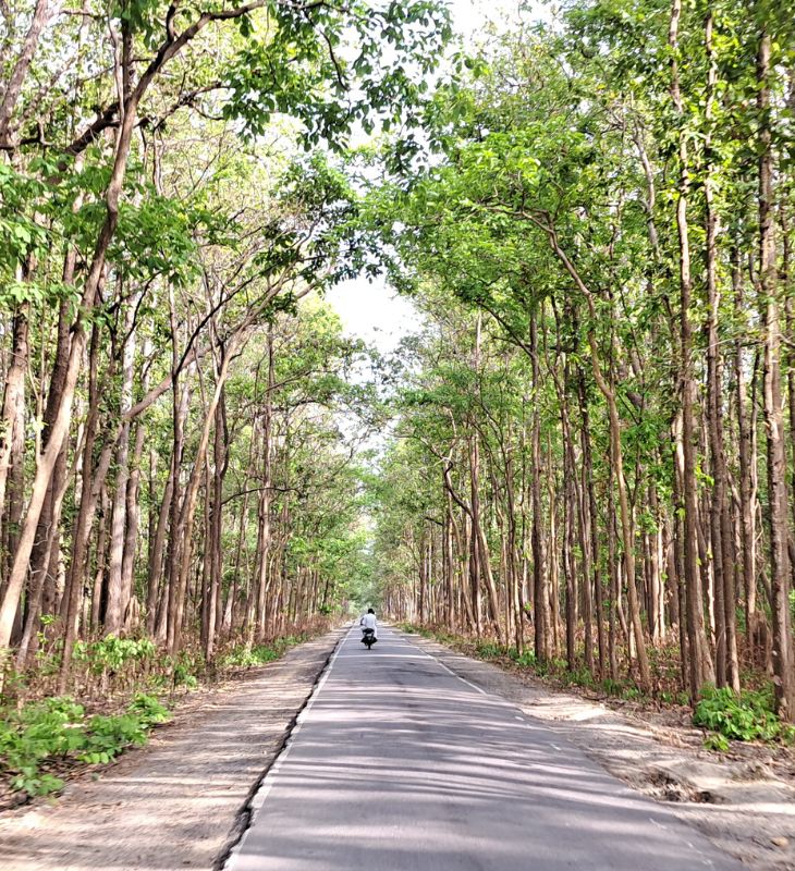 दुधवा से चंदन चौकी जाते हुए 5 किमी के रास्ते में घना जंगल है। जंगल के बीच कहीं-कहीं छोटे गांव भी हैं। आने-जाने के लिए पक्की सड़क बनी हुई है।