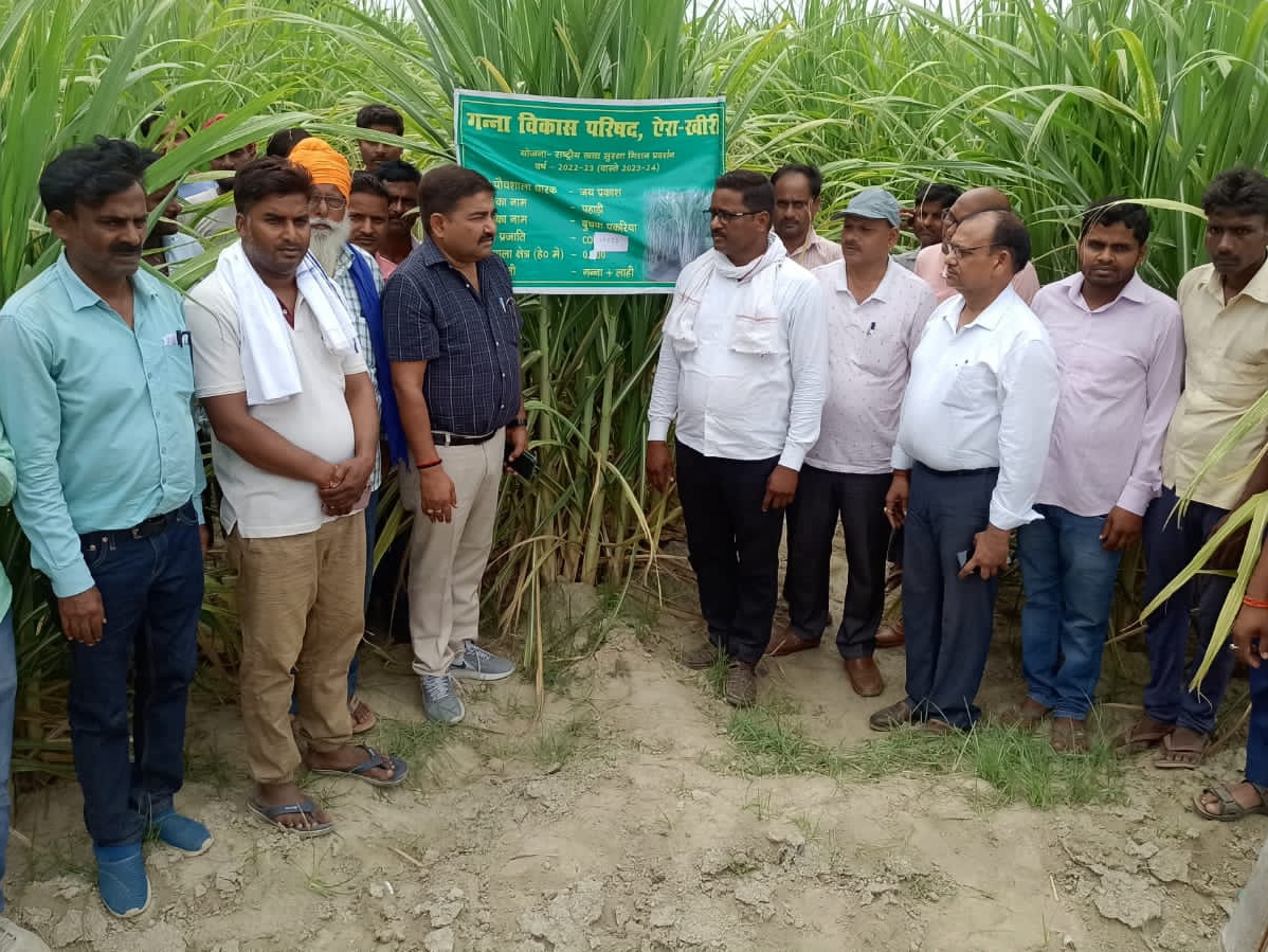 Farmers arrived to take advantage of the experience of high yielding